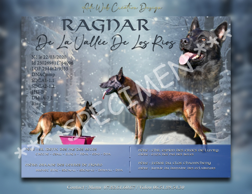 affiche Pub Ragnar-Bleu