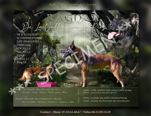 affiche Pub Ragnar-Vert