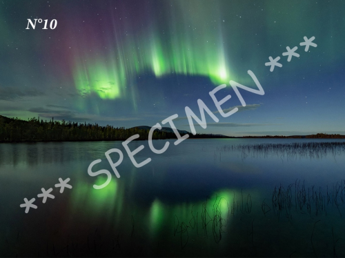 Aurores 10