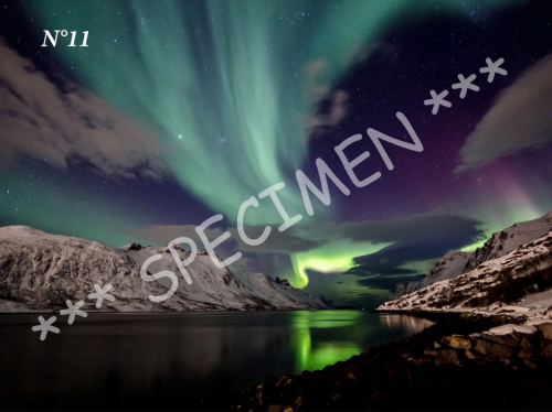 Aurores 11