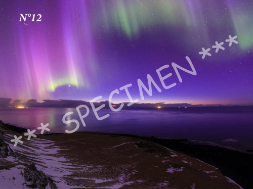 Aurores 12