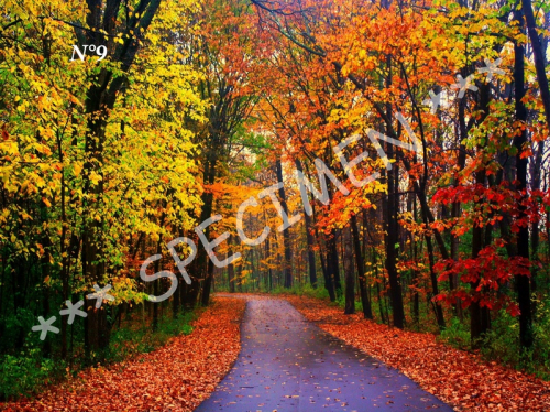 Automne 09
