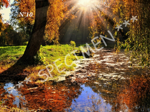 Automne 10