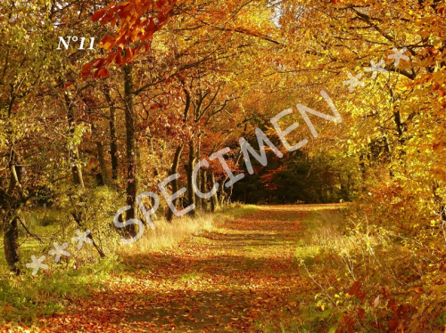 Automne 11