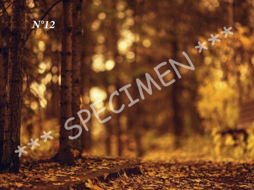 Automne 12