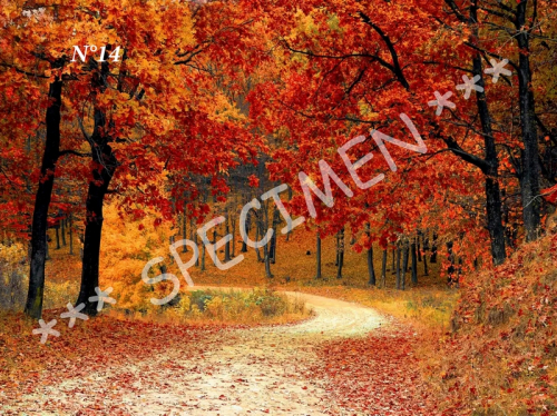 Automne 14