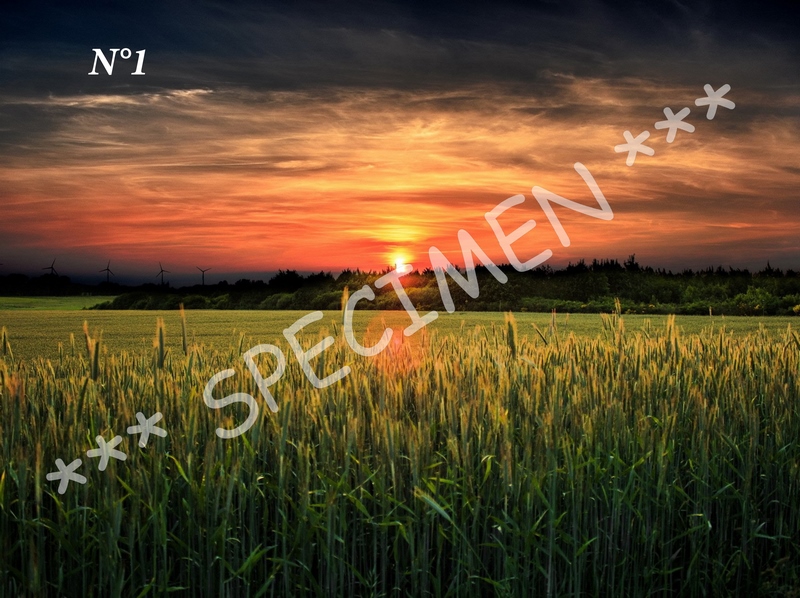 Coucher de soleil 01