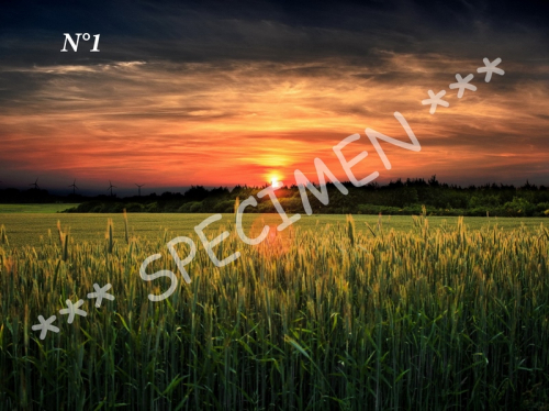 Coucher de soleil 01