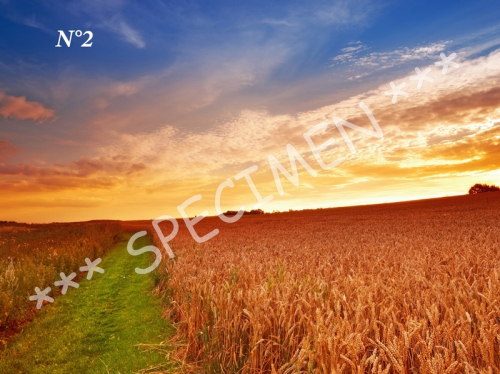 Coucher de soleil 02