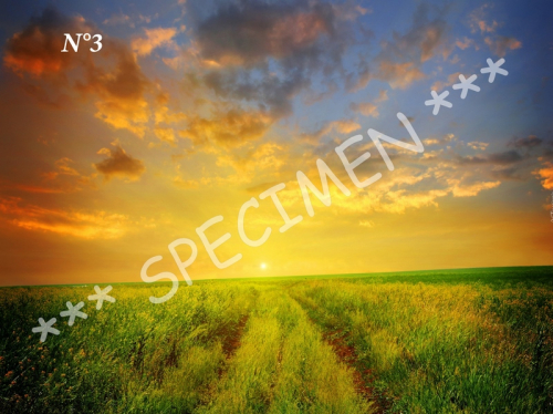 Coucher de soleil 03