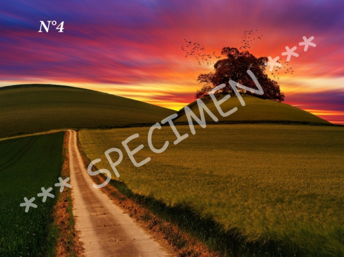 Coucher de soleil 04