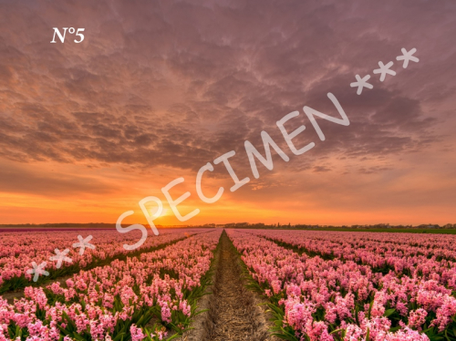 Coucher de soleil 05