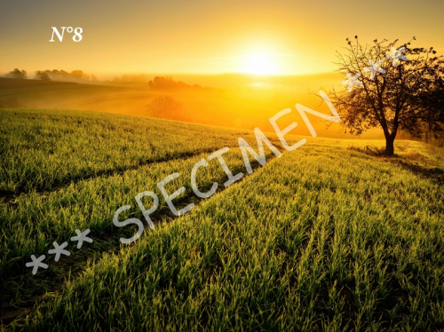 Coucher de soleil 08