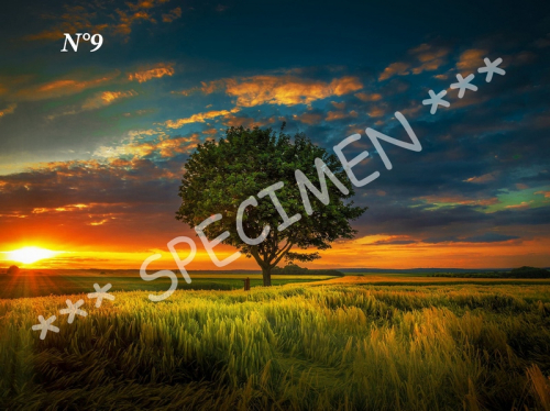 Coucher de soleil 09