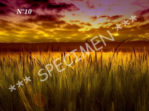 Coucher de soleil 10