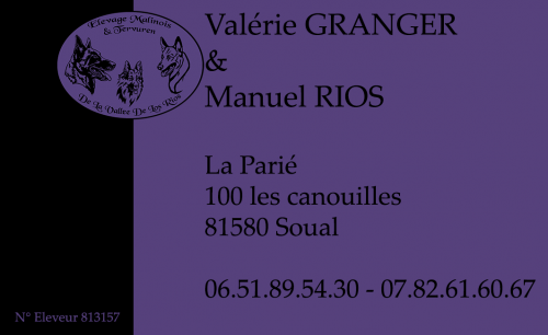 carte-de-visite-mail